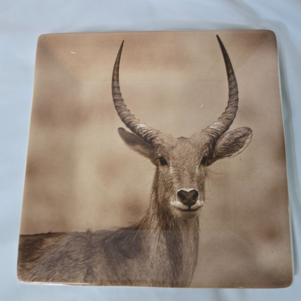 Dario Farrucci Designs 8" Square Salad Plate Antelope Sepia Photo Africa Safari
